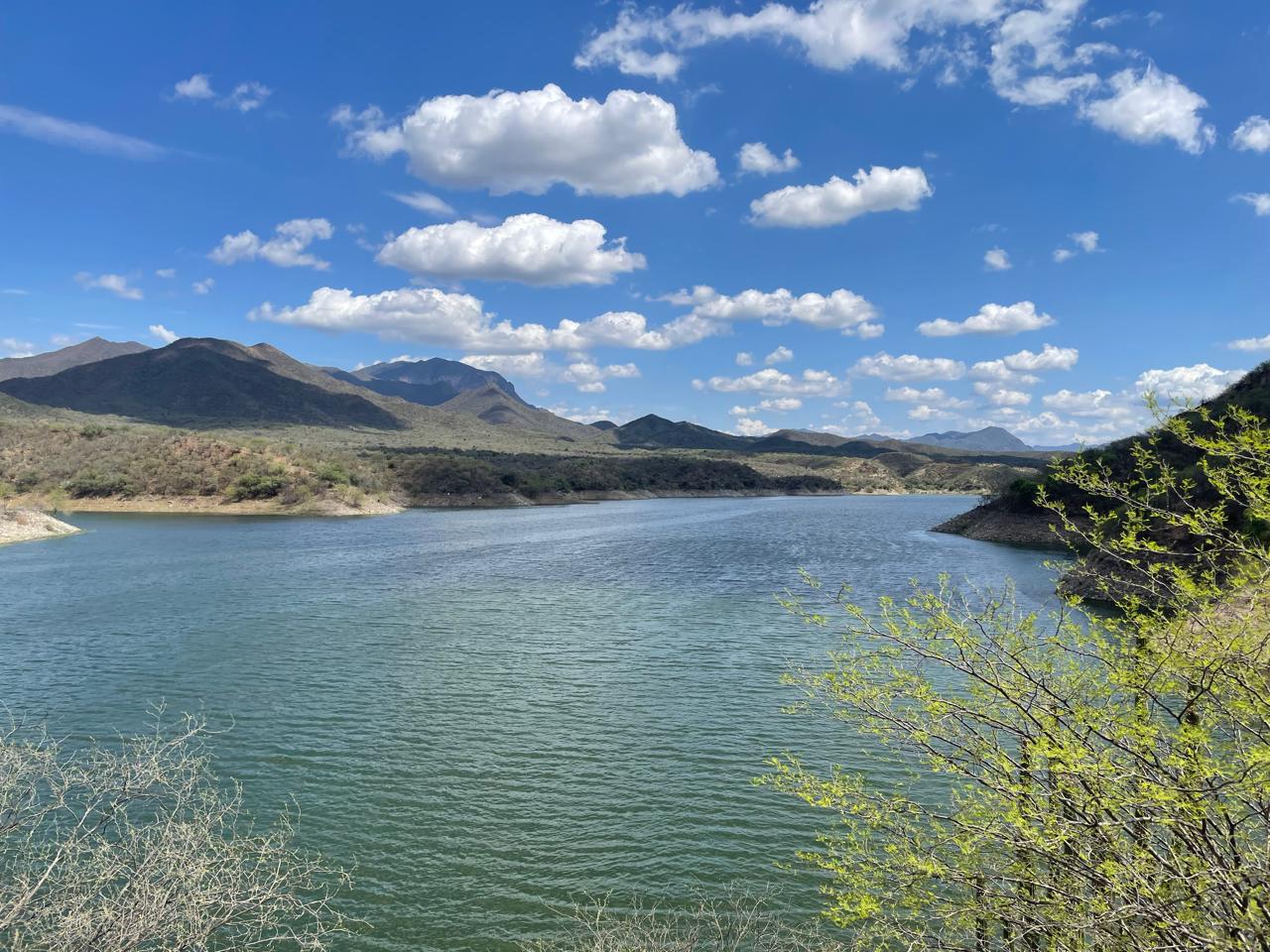 Bacanora: cuna del destilado de agave de Sonora